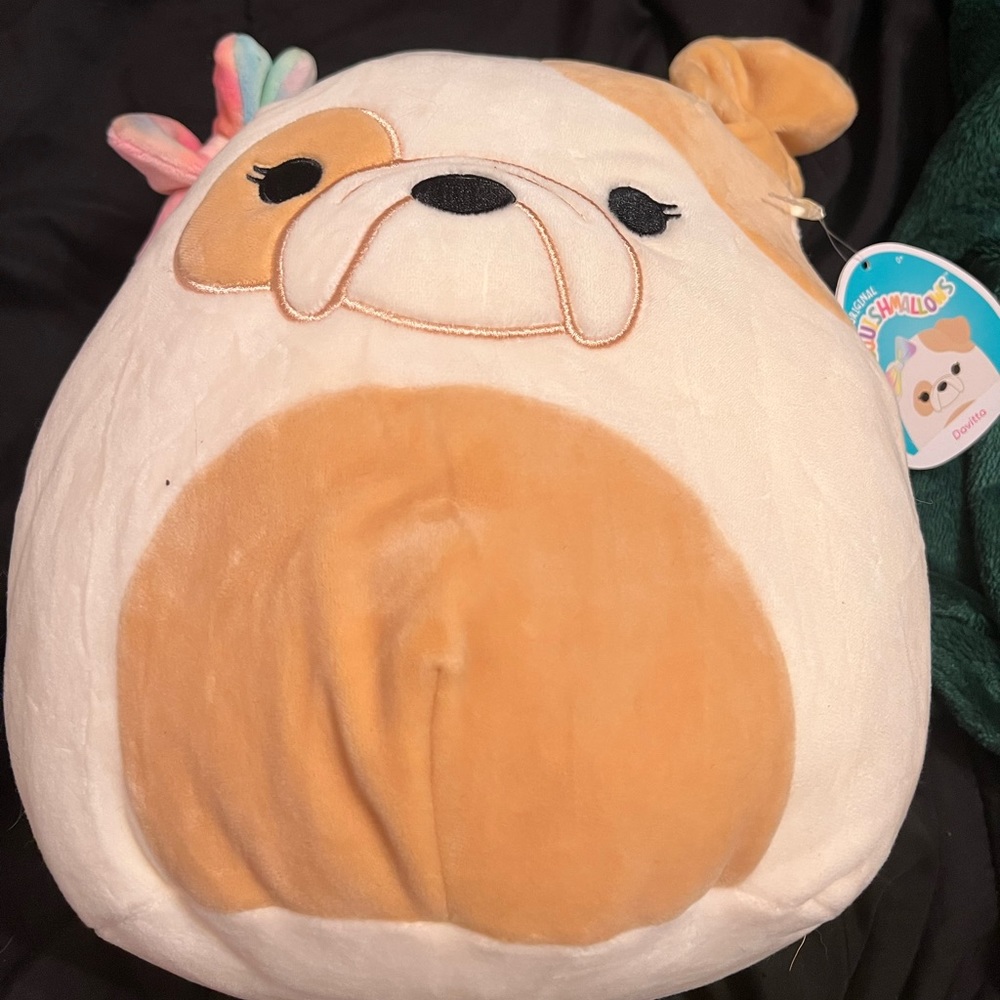 Davitta squishmallow